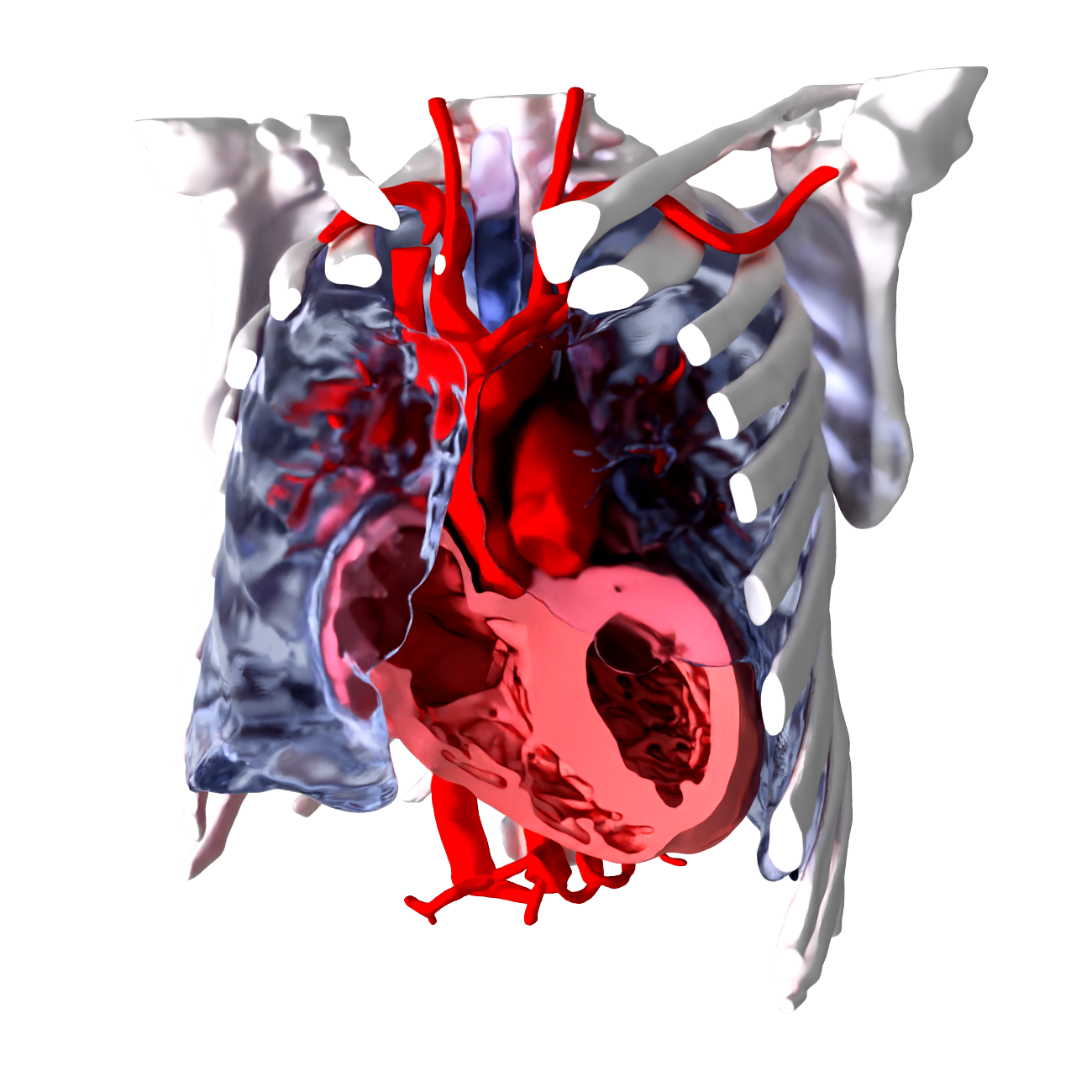torso_spot1